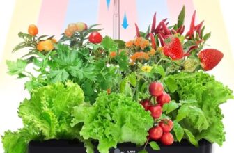 7 Beste Hydroponik-Systeme für den Innenbereich 2024