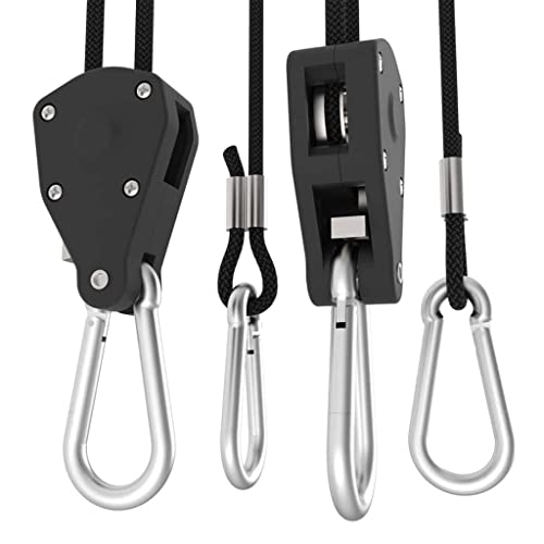 Wie oft sollte ich die Sanlight MH Lampe auswechseln, um optimale Ergebnisse zu erzielen?