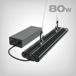 Greenception, GCx 2solo PWR, 80W