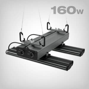 Greenception, GCx 4 PWR, 160W