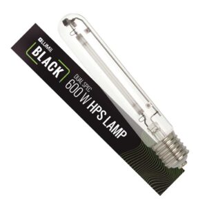 LUMii Black HPS 600W Leuchtmittel Bl&uuml;te