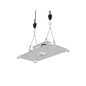 LUMii Black Blade LED, 100W, Wachstumsspektrum