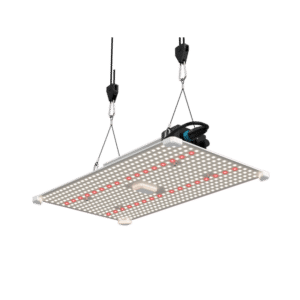 LUMii Black Blade LED, 200W