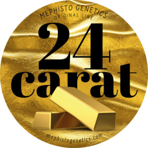 24 Carat