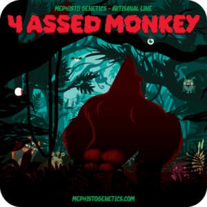 4 Assed Monkey Auto
