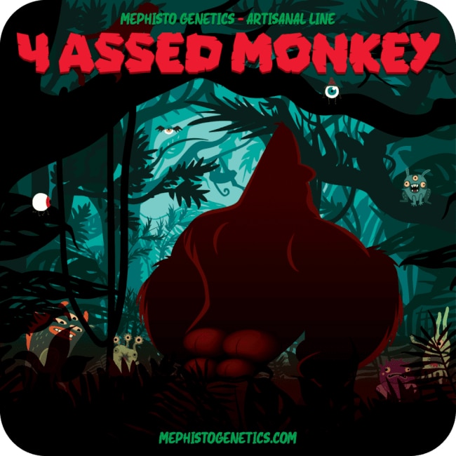 4 Assed Monkey Auto