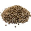 Amnesia 100 BULK