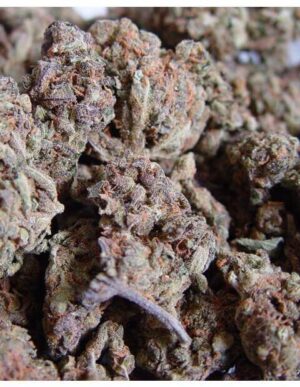 Amnesia Haze Reg.