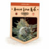 Amnesia Lemon Kush (Garden of Green)