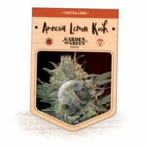 Amnesia Lemon Kush (Garden of Green)
