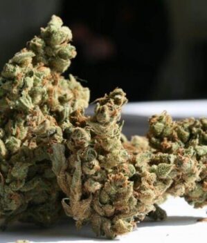 Amnesia (Super Strains)