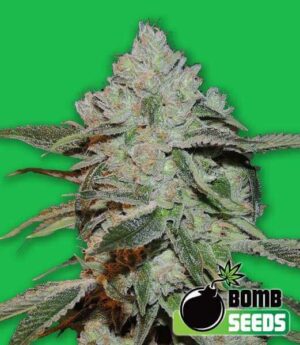 Atomic