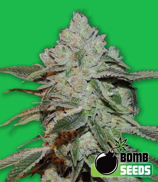Atomic