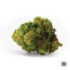 Auto Bigger Bud