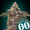 Auto Bubba's Gift