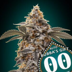 Auto Bubba's Gift
