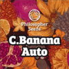 Auto Chiquita Banana