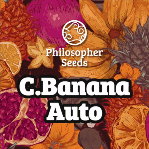 Auto Chiquita Banana