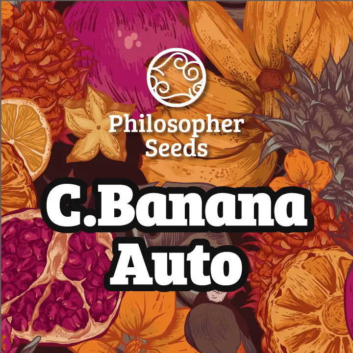 Auto Chiquita Banana
