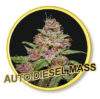 Auto Diesel Mass