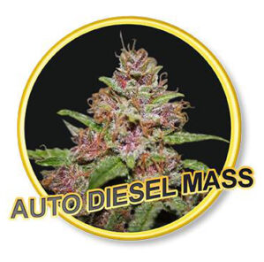 Auto Diesel Mass