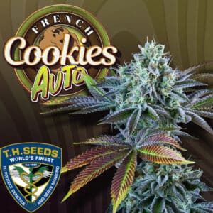 Auto French Cookies