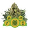 Automatic Mix (Royal Queen Seeds)