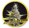 Auto Mazar Blue