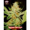 Auto Northern Lights (Xtreme Seeds)