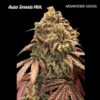 Auto Zerealz Milk