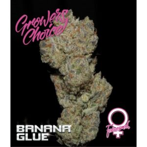 Banana Glue
