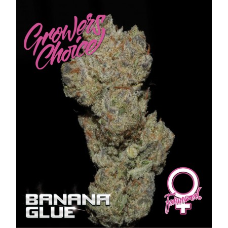 Banana Glue