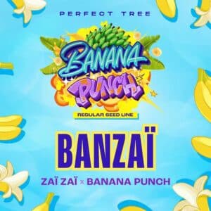 BANZAÏ Reg.