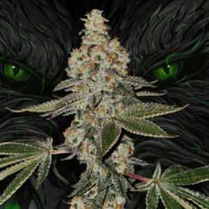 Beasty