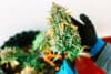 Big Bud Auto 100 Samen