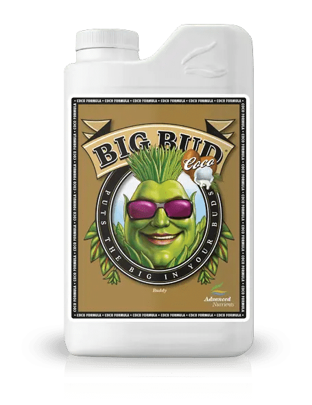 Big Bud Coco