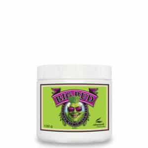 Big Bud Powder