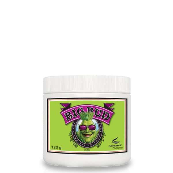 Big Bud Powder