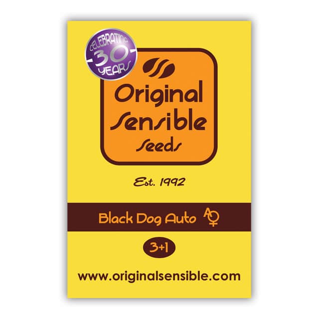 Black Dog Auto