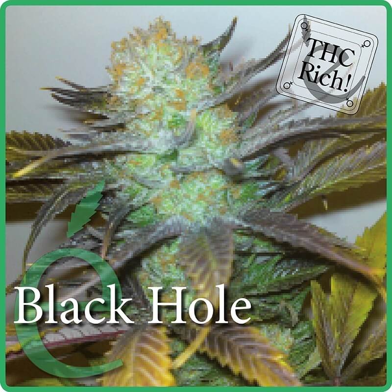 Black Hole