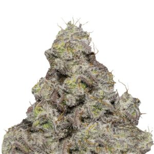 Blue Forest Berry