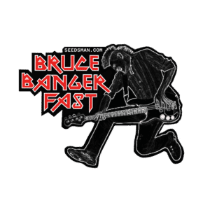 Bruce Banger FAST