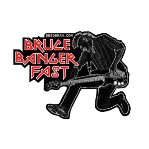 Bruce Banger FAST