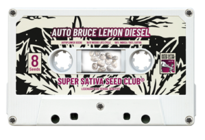 Bruce Lemon Diesel Auto