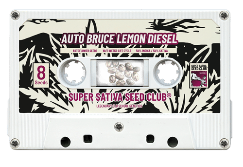 Bruce Lemon Diesel Auto