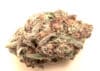 BSBs Cali Collection Skywalker Cookies