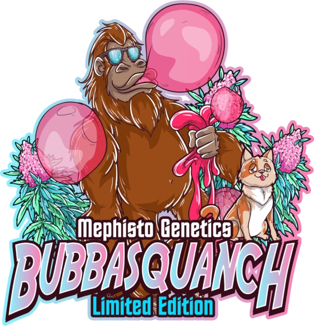Bubbasquanch Auto