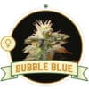Bubble Gum (CSB)