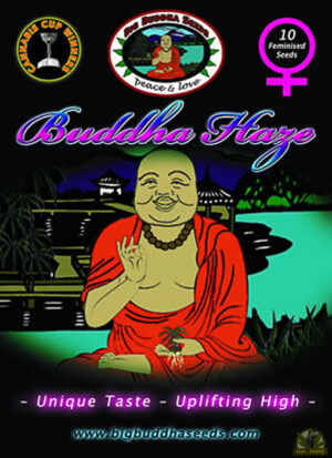 Buddha Haze