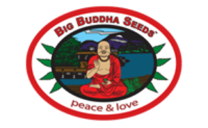 Buddhalato